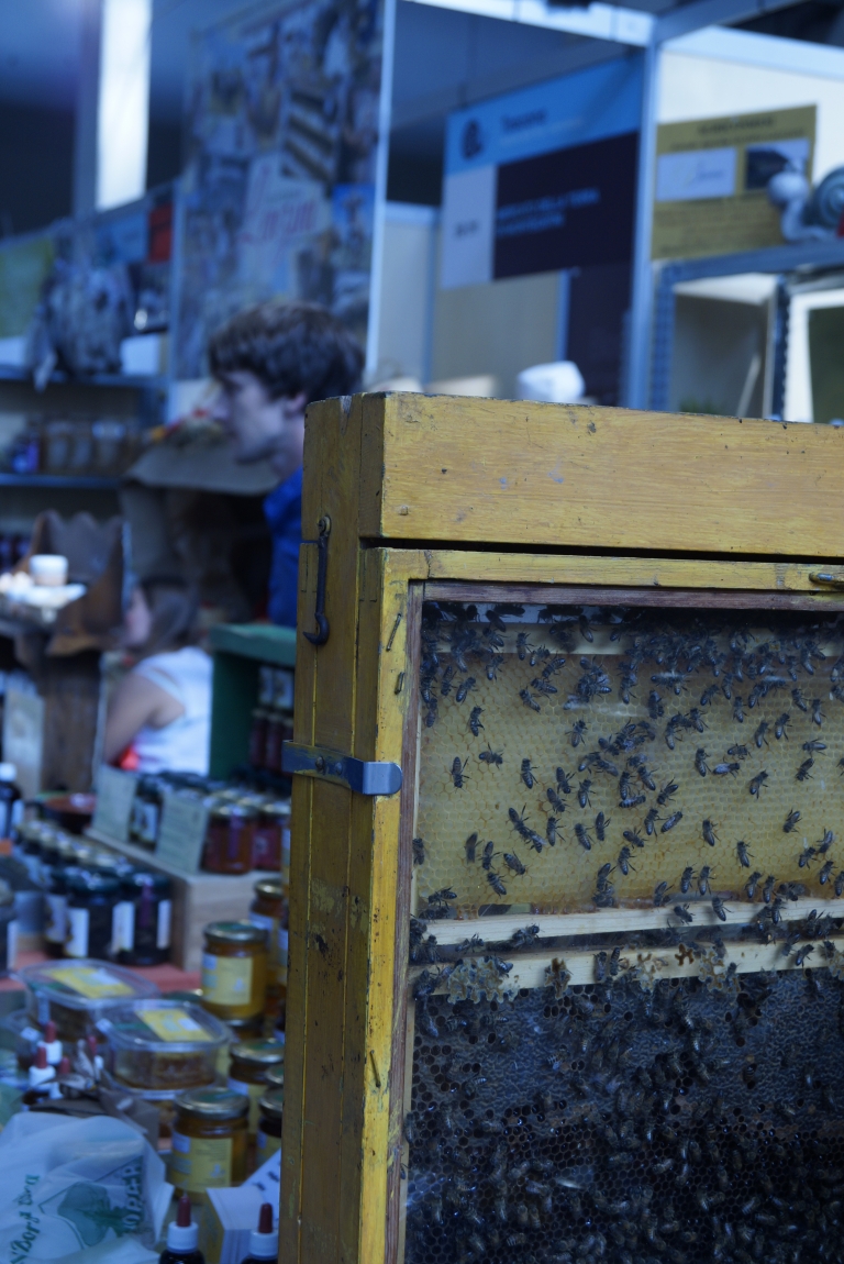 Honey and its bees...