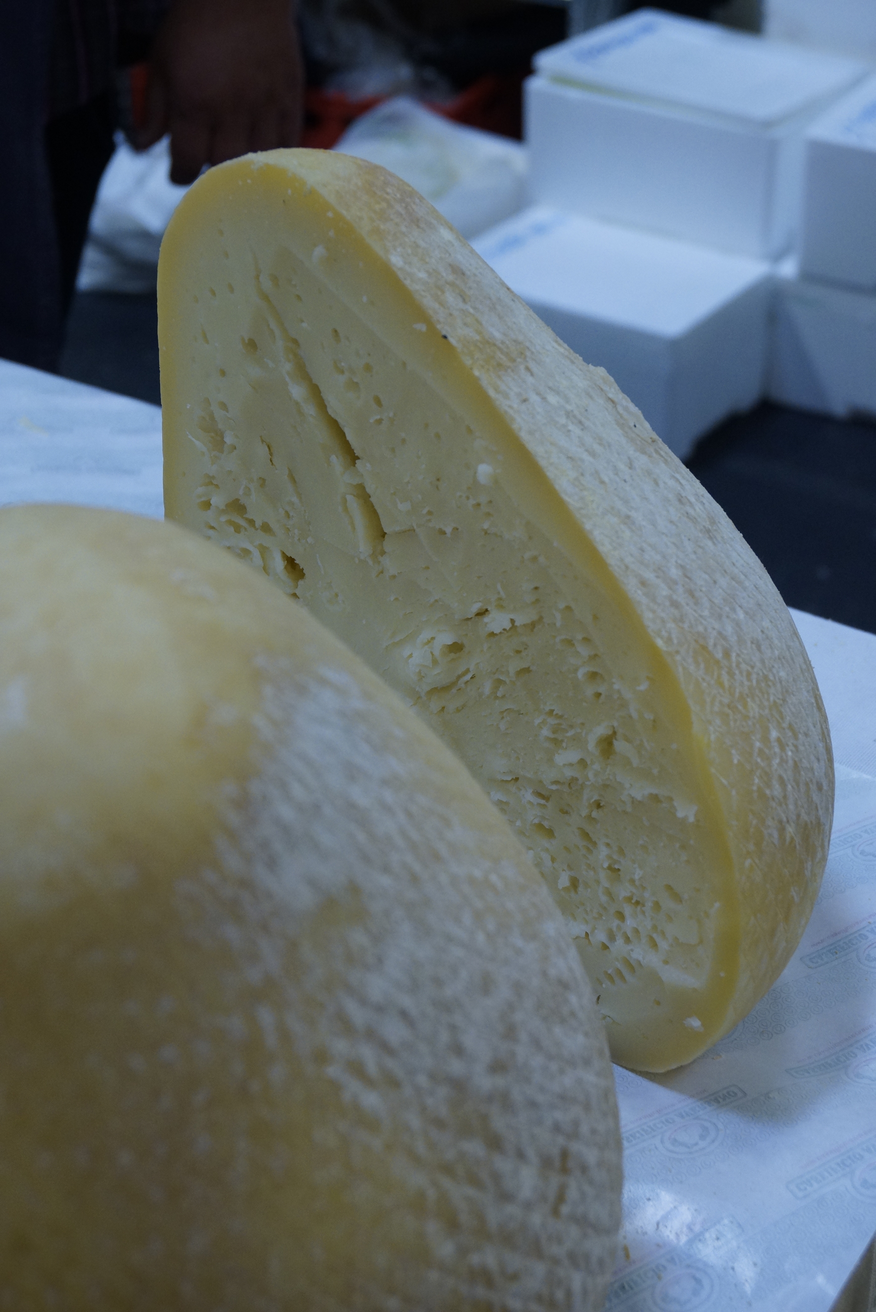 Caciocavallo